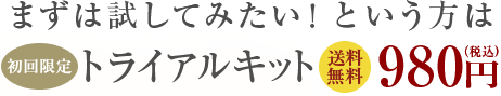 まずは試してみたい！という方は初回限定トライアルキット 送料無料 980円（税込) 